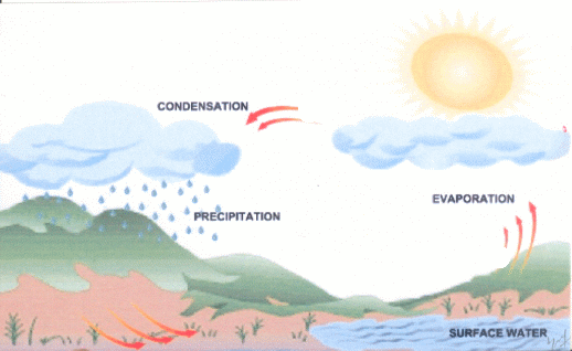 DESWARE-Hydrological Cycle