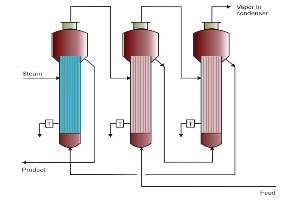 Physical, Chemical and Biological Properties of Water